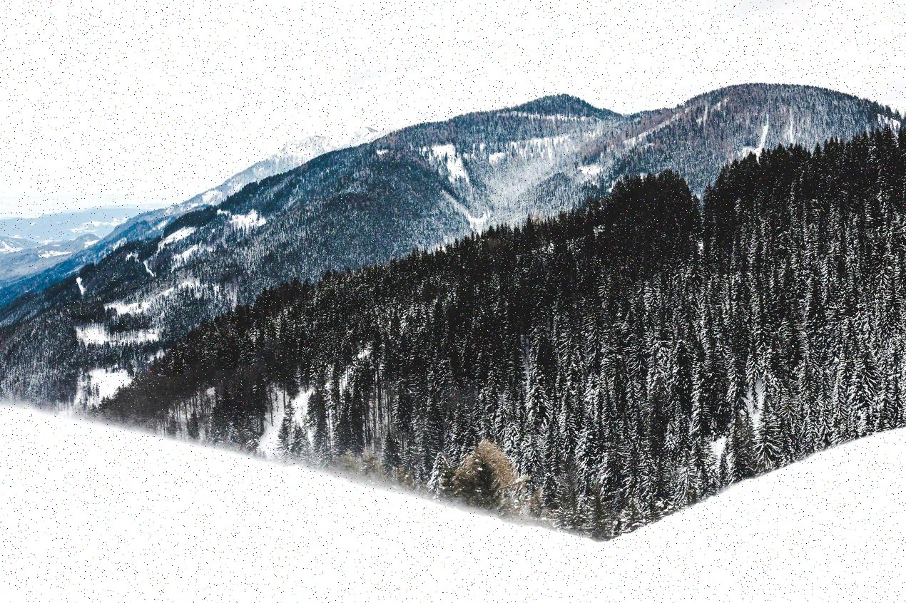 Paquete Plus
